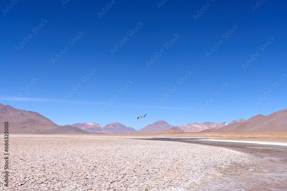 Bolivia, Avaroa National Park. Two flamingos in flight over the desert.