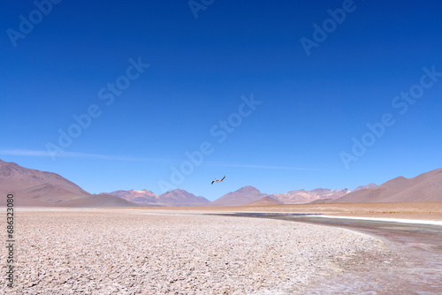 Bolivia, Avaroa National Park. Two flamingos in flight over the desert.