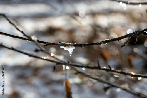 Vereiste Äste. Eiszapfen. Eiskristalle