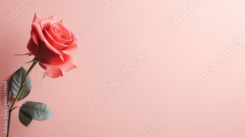 Foto A romantic rose on pink background, love theme