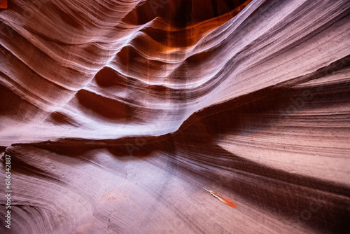 Feather in a slot canyon