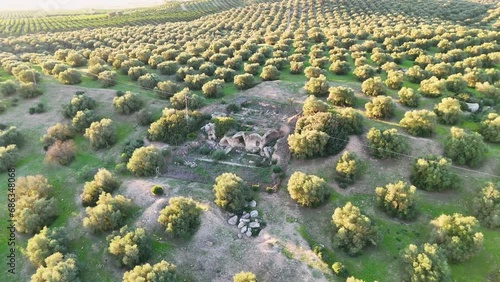The Roman city of Arva located in Alcolea del Rio in Andalucia, Spain photo