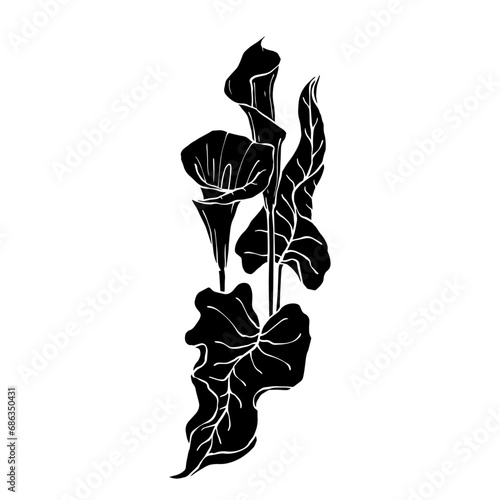 Silhouette of calla flower.Decorative botanical element.Vector graphics.