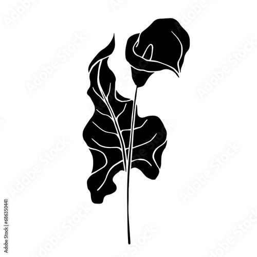 Silhouette of calla flower.Decorative botanical element.Vector graphics.