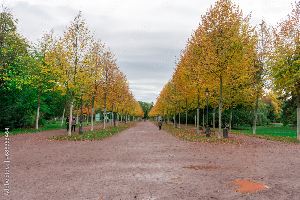 Fototapeta premium le paysage en automne à Strasbourg parc Orangerie