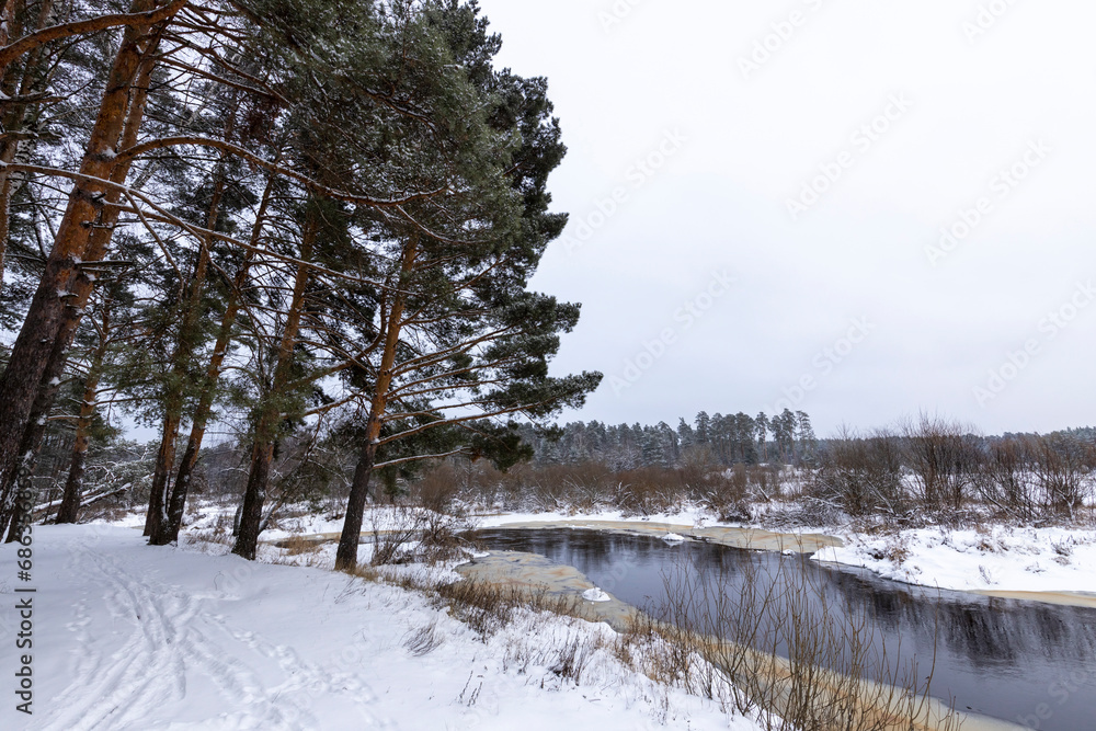 Winter landscape, first snow, river with snow-covered banks, pine trees in the foreground in perspective Winter landscape, first snow, river with snow-covered banks, pine trees in the foreground in perspective