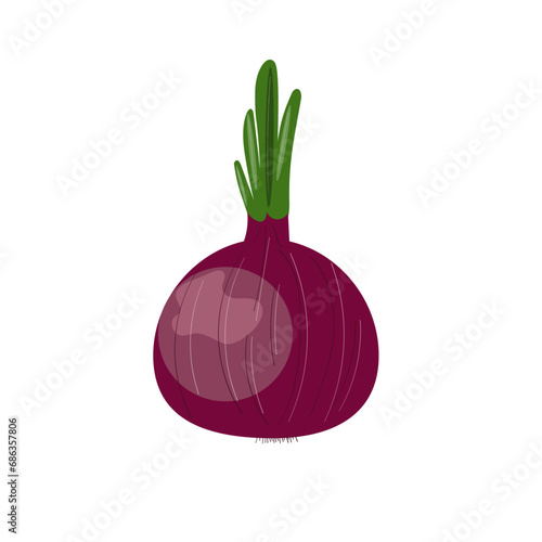 Red onion isolated on white background, vecto/r illustration, flat style photo