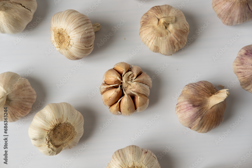 Fototapeta premium A large head of garlic on a white background