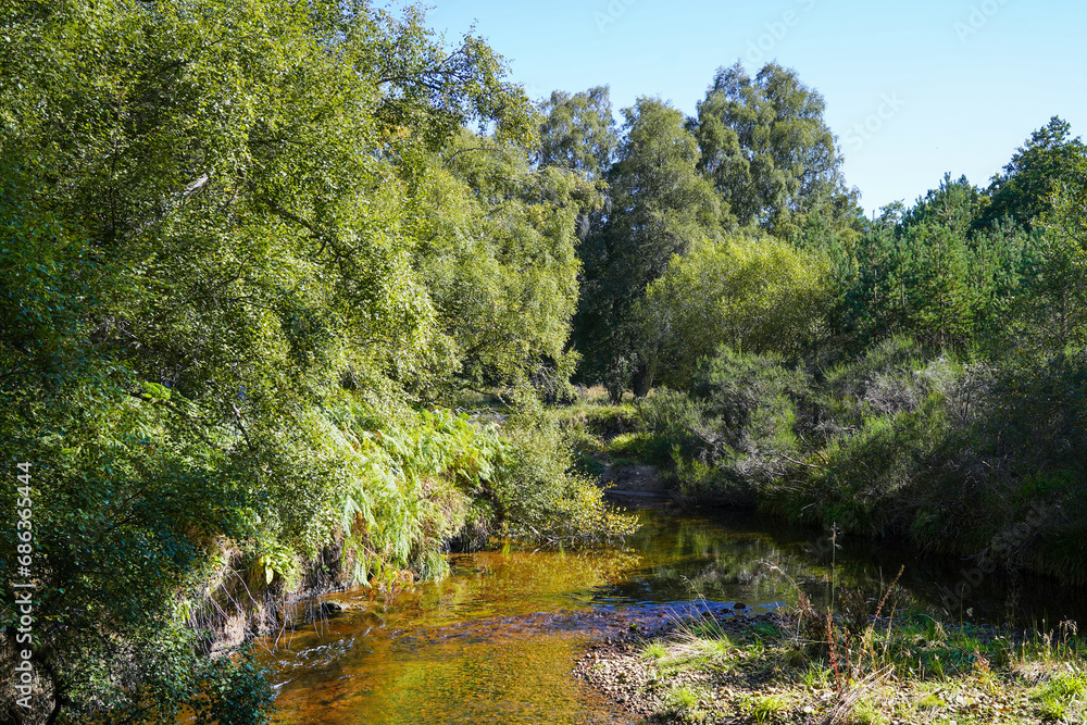 A river in Glenmore forest near Loch Morlich in the Scottish highlands