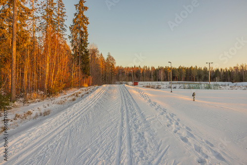 Scenic view of winter forest at sunset with ski trail for cross-country skiing. Sweden. © Alex