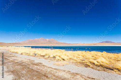 Fototapeta Naklejka Na Ścianę i Meble -  Laguna Canapa view, Bolivia
