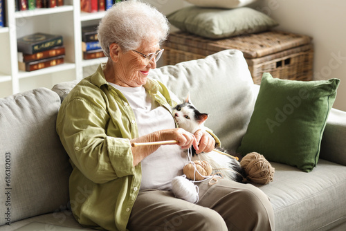 Senior woman with cute cat and knitting needles resting at home photo