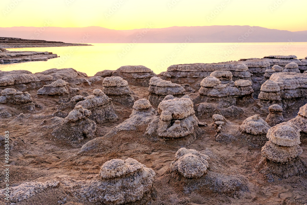 Dead Sea coast with stones covered by salt