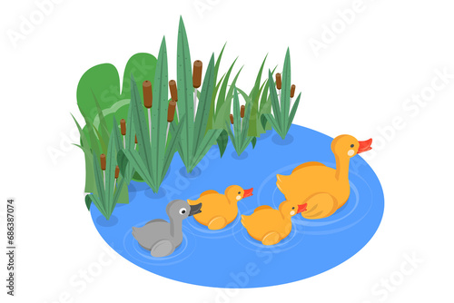 3D Isometric Flat  Illustration of Ugly Duckling Fairy Tale, Waterfowls Swimming in Pond photo