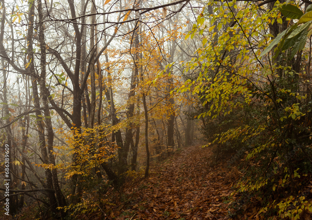 Fototapeta premium Paysage Aveyron Occitanie