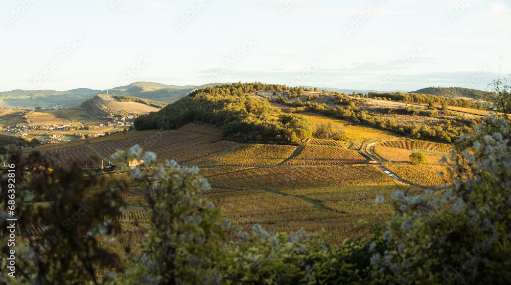 Paysage Aveyron Occitanie