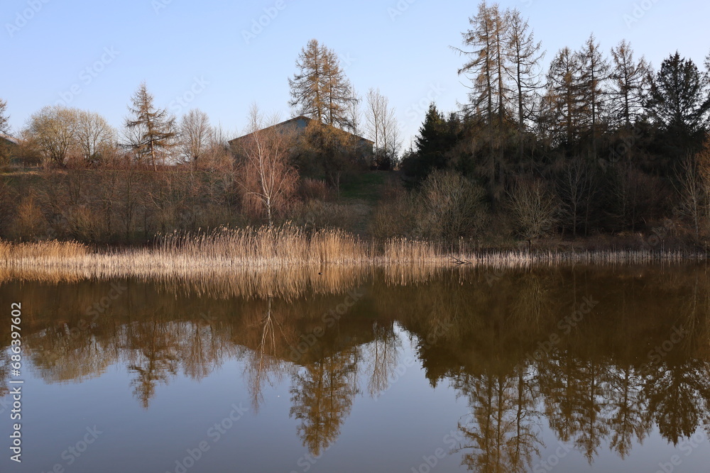 Reflection in water Reflection in water