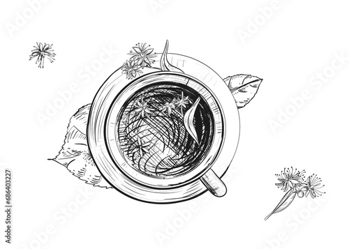 Hand drawn sketch black and white illustration cup of tea linden, leaf, flowers. Vector illustration. Elements in graphic style label, sticker, menu, package. Engraved style.