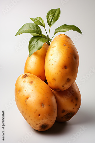 Potato. Portrait. Ideal for advertising or banner.