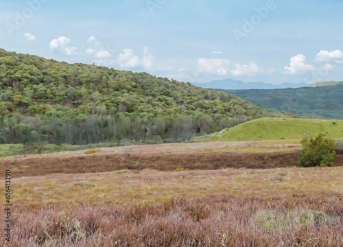 landscape with mountains and trees