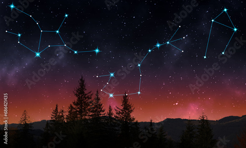 Different constellations in starry sky over forest at night
