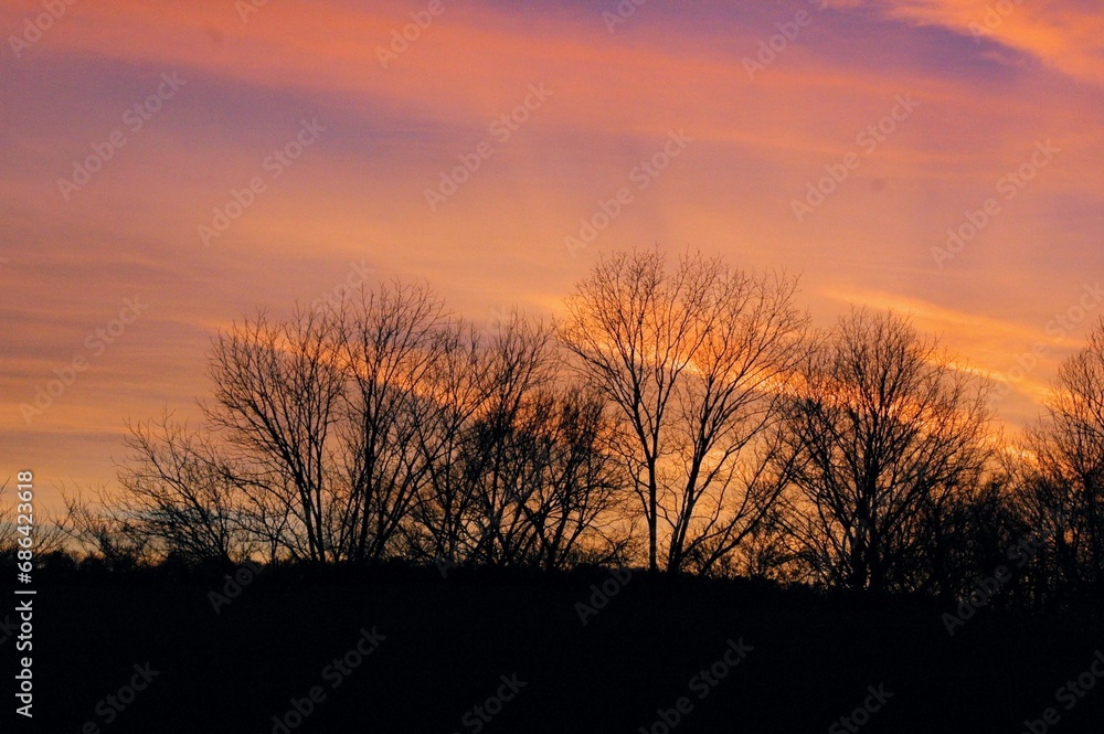 sunset over the meadow