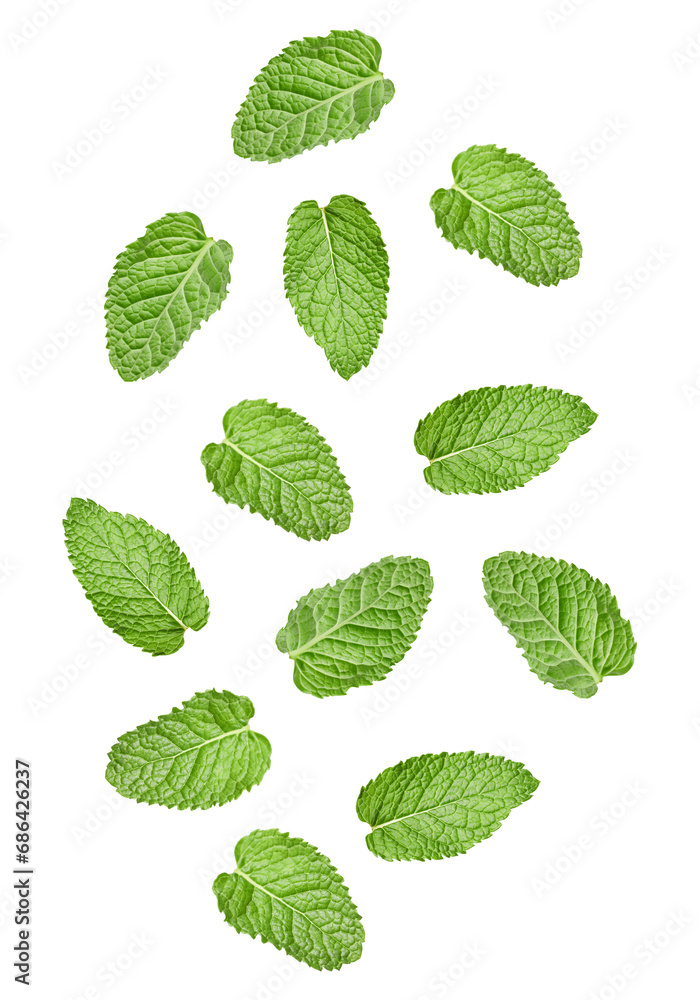 Fresh mint leaves falling on white background Fresh mint leaves falling on white background
