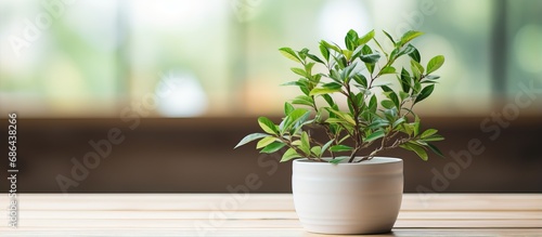 Selective focus of artificial plant on wooden table with copy space