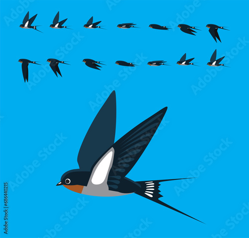 Bird Barn Swallow Flying Animation Straight Sequence Cartoon Vector