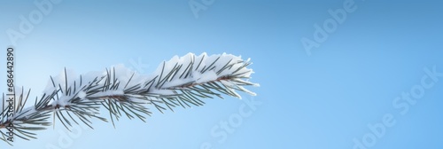 A Serene Embrace of Winter s Touch  The Abstract Minimalist Beauty of a Snowy Fir Tree Branch Against the Crisp Blue Sky