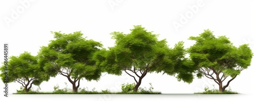 Cut out greenery tree shape white background 3d rendering  Generative AI 