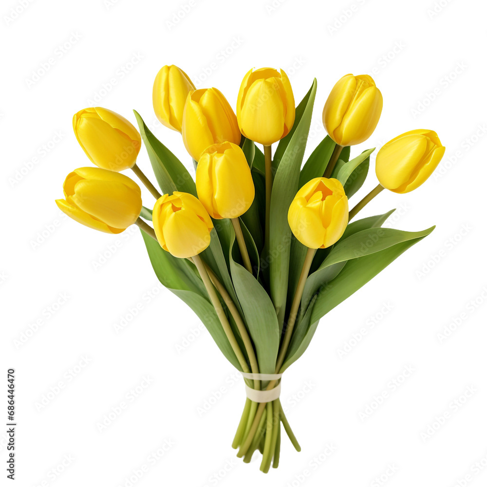 Bunch of yellow tulips isolated on transparent background Bunch of yellow tulips isolated on transparent background