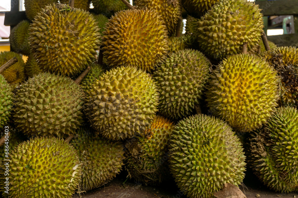 Group of durian fruits at local market. Asian fruit with intense aromas. Fresh durian fruit. Group of durian fruits at local market. Asian fruit with intense aromas. Fresh durian fruit.