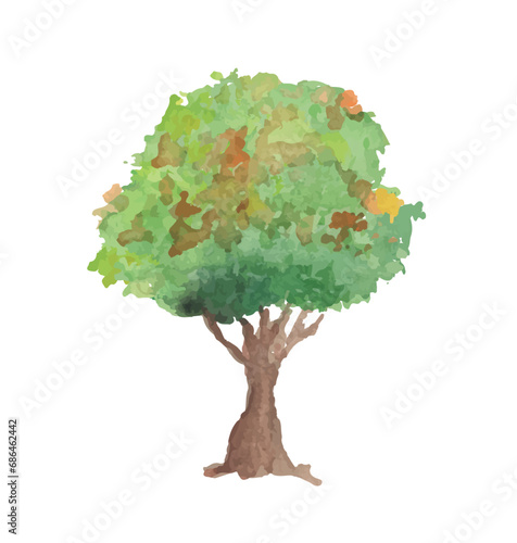 tree isolated on white. tree watercolor hand drawn. single tree illustration