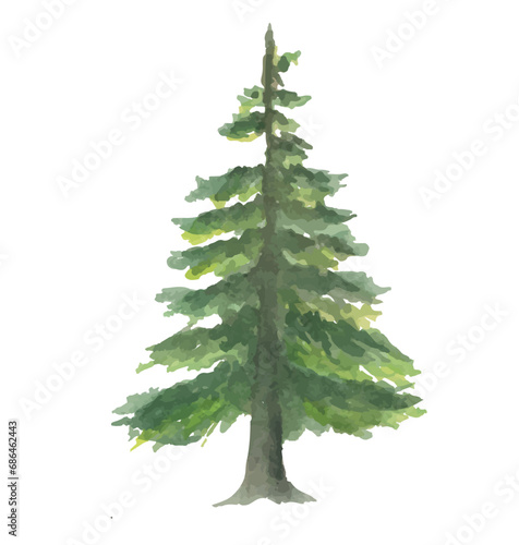 pine tree watercolor hand drawn