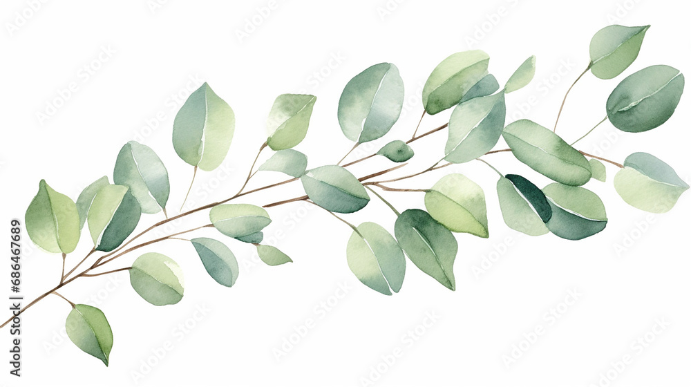watercolor greenery hand drawn winter illustration watercolor greenery hand drawn winter illustration