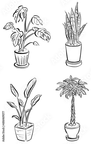 観葉植物のイラスト　セット　1色