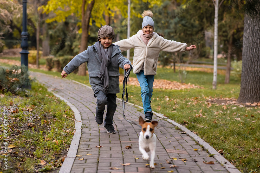 Brother and sister walk the dog in the park in autumn. Boy and girl running with jack russell terrier on a leash. Brother and sister walk the dog in the park in autumn. Boy and girl running with jack russell terrier on a leash.