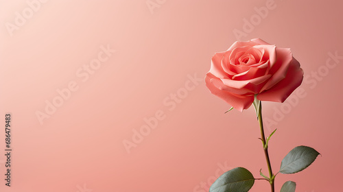 The gentle curve of a single pink rose on a pastel background creates a romantic script shadow, symbolizing delicate affection.
