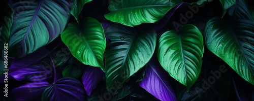 Tropical plant leaves background pattern