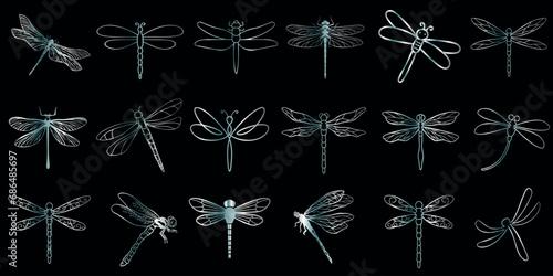 conjunto de ilustração vetorial de libélula desenhada à mão. Designs vibrantes inspirados na natureza, perfeitos para o verão. Arte entomológica cativante, apresentando diversos estilos e cores photo