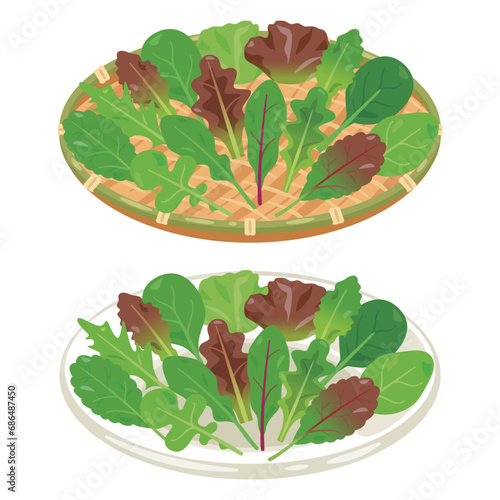 皿とザルに盛られたベビーリーフセット