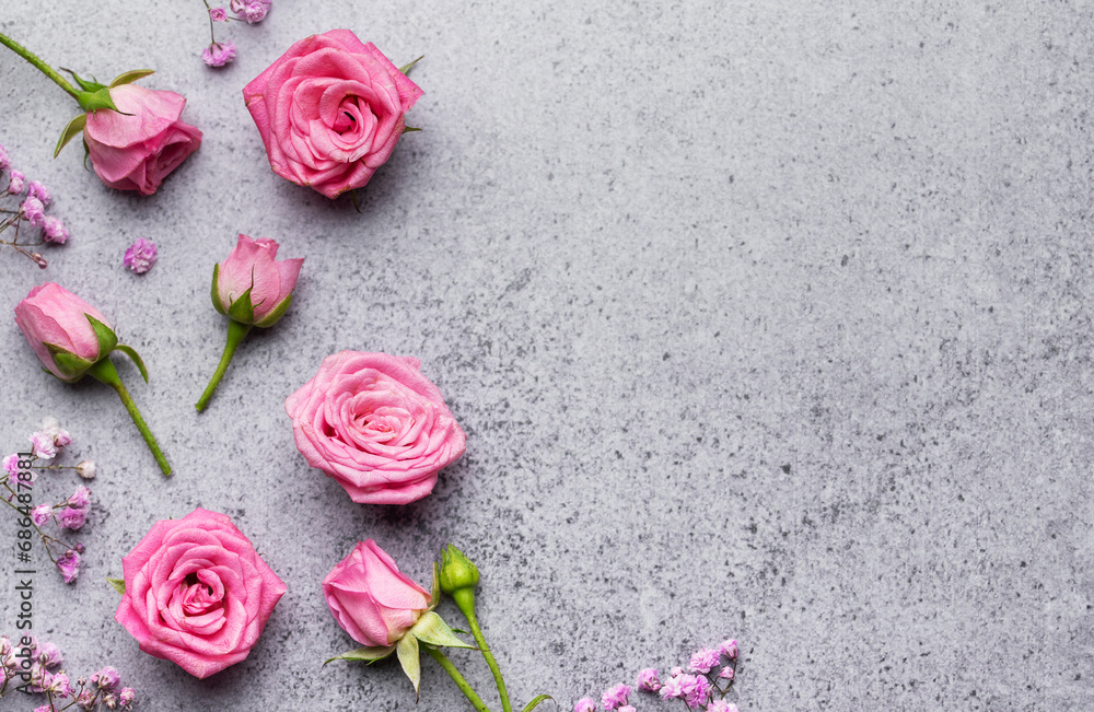 Colored gypsophila flowers and pink roses on concrete background Colored gypsophila flowers and pink roses on concrete background