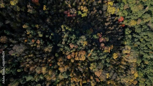 Aerial shot over forest in Autumn with green Yellow and Orange Colors, Treetops Zoom in Montseny Spain photo