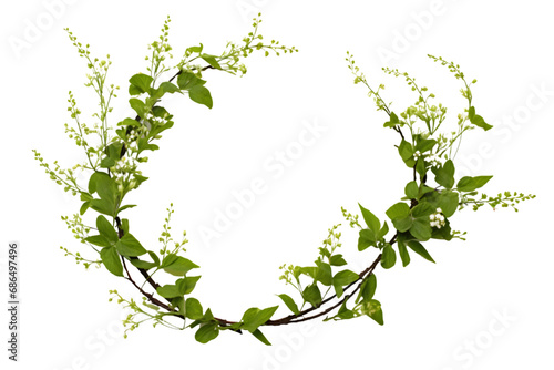 Spring twigs of spirea with small green leaves, flowers and buds in a floral arch arrangement isolated on white background. generative ai. photo