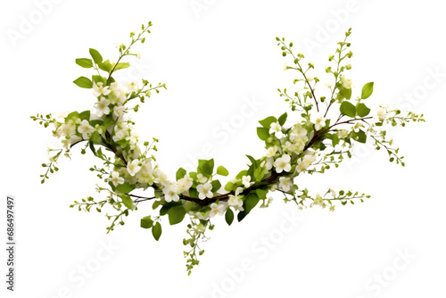 Spring twigs of spirea with small green leaves, flowers and buds in a floral arch arrangement isolated on white background. generative ai.