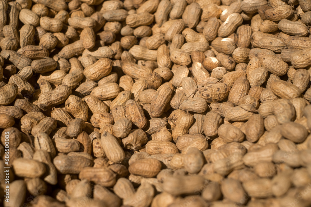 Closeup image of peanuts are being dried Closeup image of peanuts are being dried