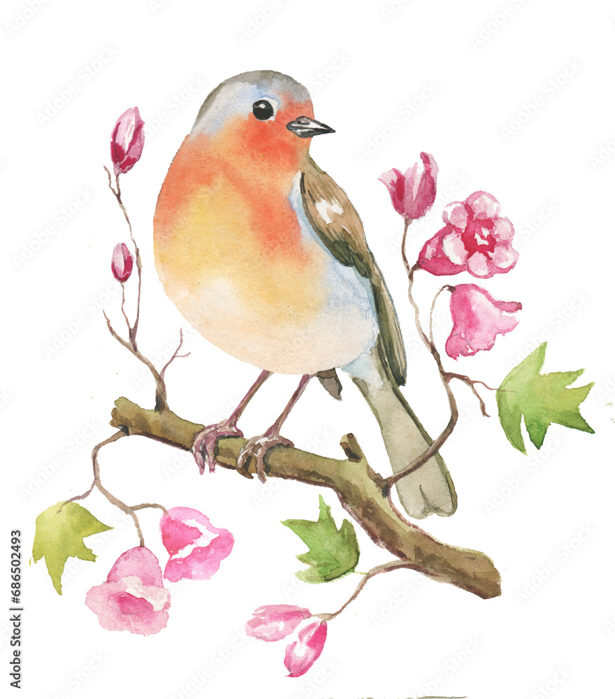 Little watercolor robin bird sitting on twig with pink flowers and leaves