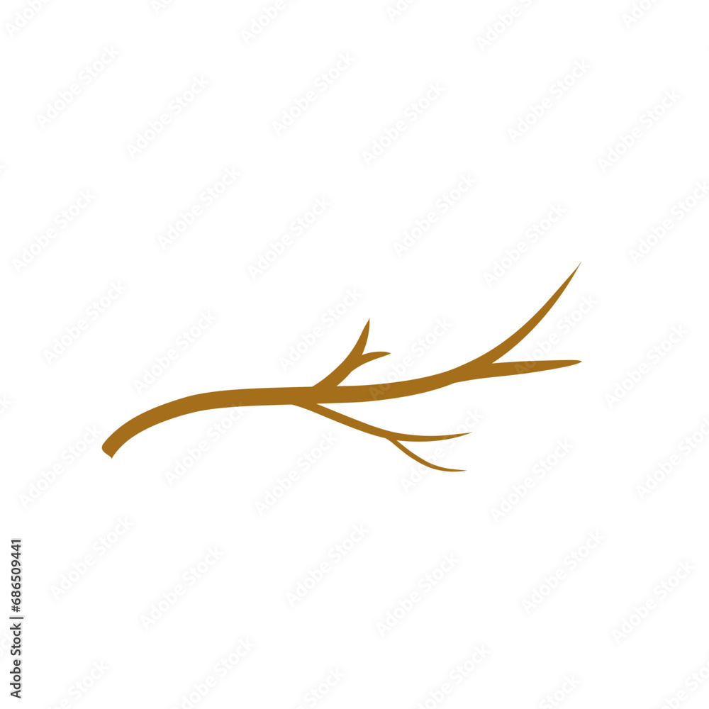 Dry wooden tree branches Dry wooden tree branches