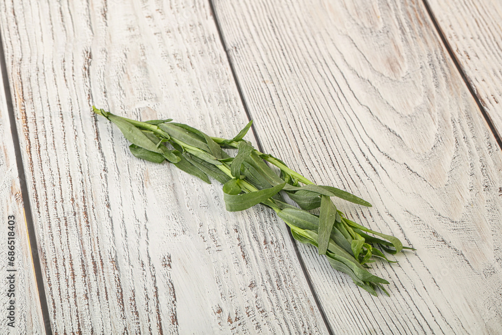 Green tarragon herb spice for cooking Green tarragon herb spice for cooking